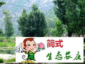 京北第一漂白河灣農(nóng)家院桂華農(nóng)家院