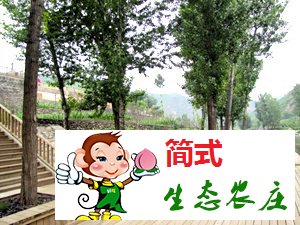 京北第一漂白河灣農(nóng)家院桂華農(nóng)家院