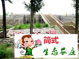 京北第一漂白河灣農(nóng)家院桂華農(nóng)家院