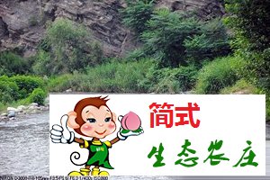 京北第一漂農(nóng)家院流白河山川農(nóng)家院