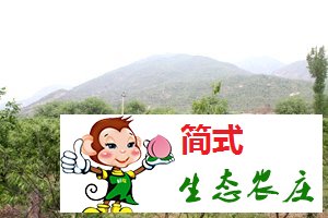 懷柔青龍峽農(nóng)家院/青龍峽住宿/青龍峽一日游