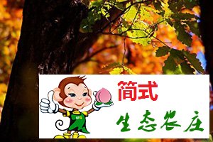 懷柔喇叭溝門(mén)農(nóng)家院